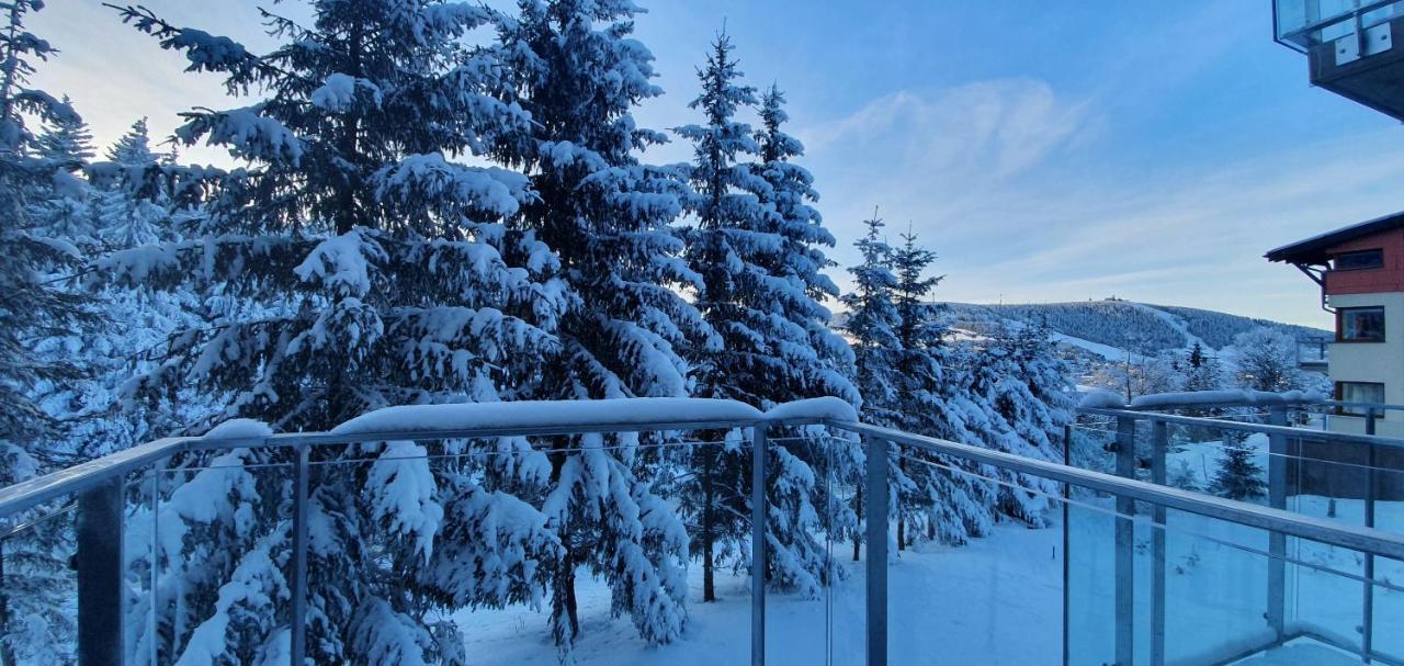 Apartmán Nerudovka D 104, Finská sauna, garážové stání Loučná pod Klínovcem Exteriér fotografie