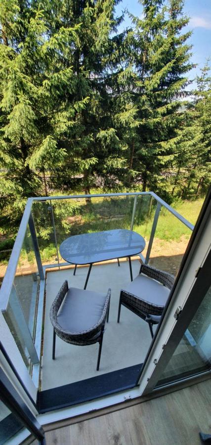 Apartmán Nerudovka D 104, Finská sauna, garážové stání Loučná pod Klínovcem Exteriér fotografie